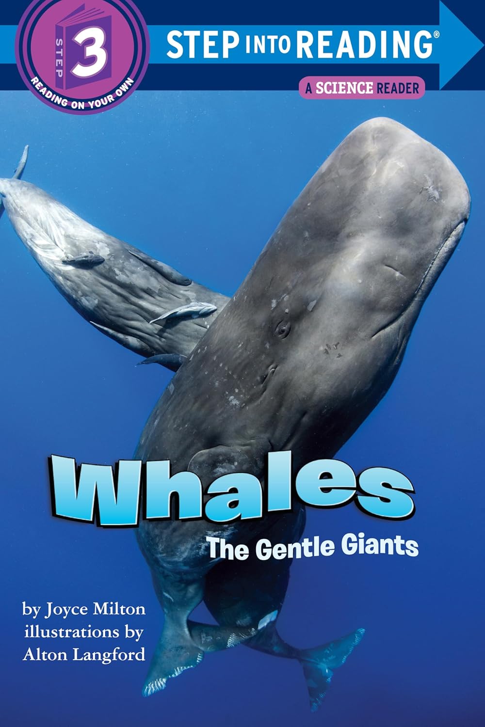 Whales