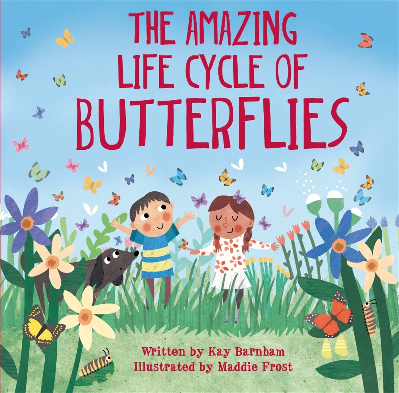 The Amazing Life Cycle of Butterflies