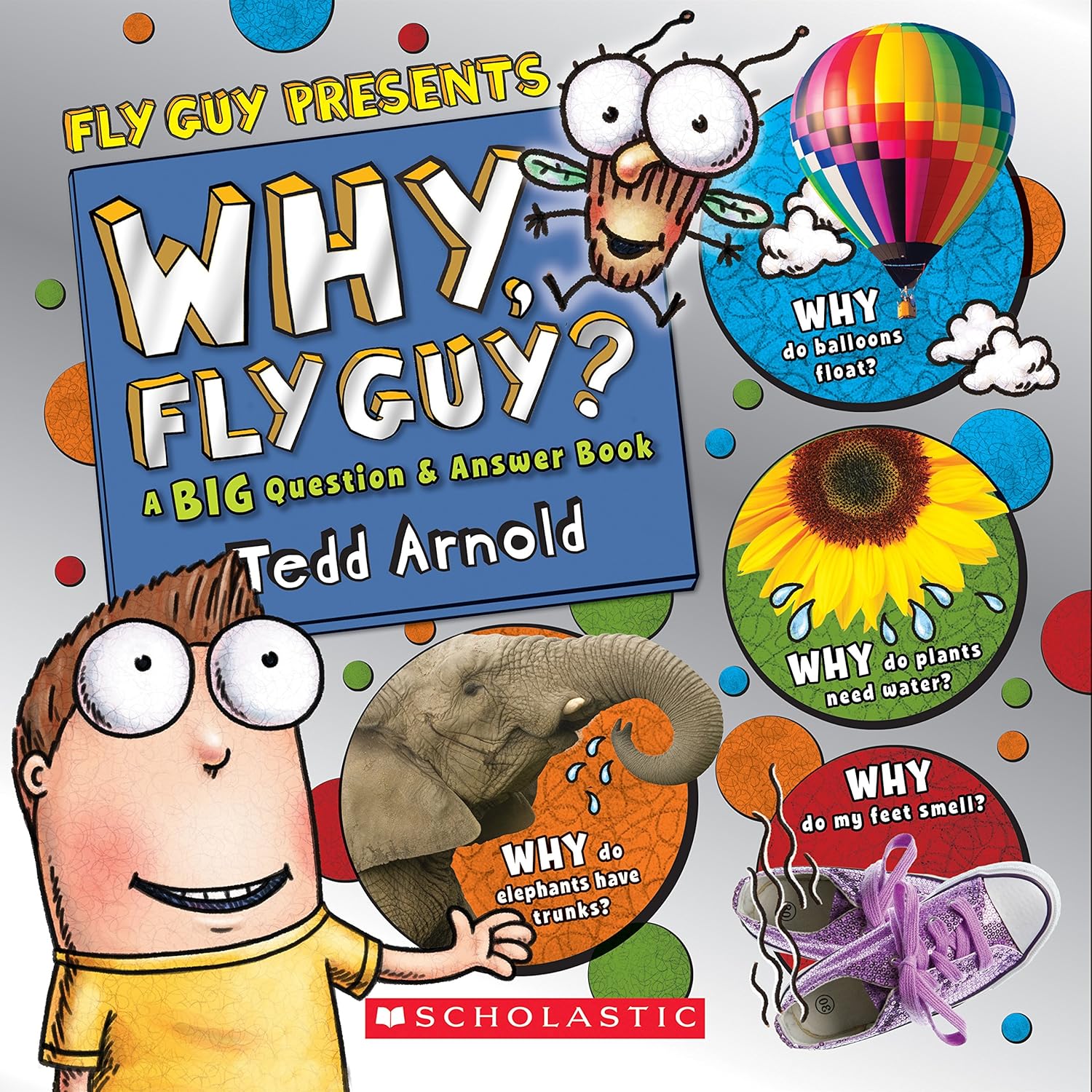 Why, Fly Guy?