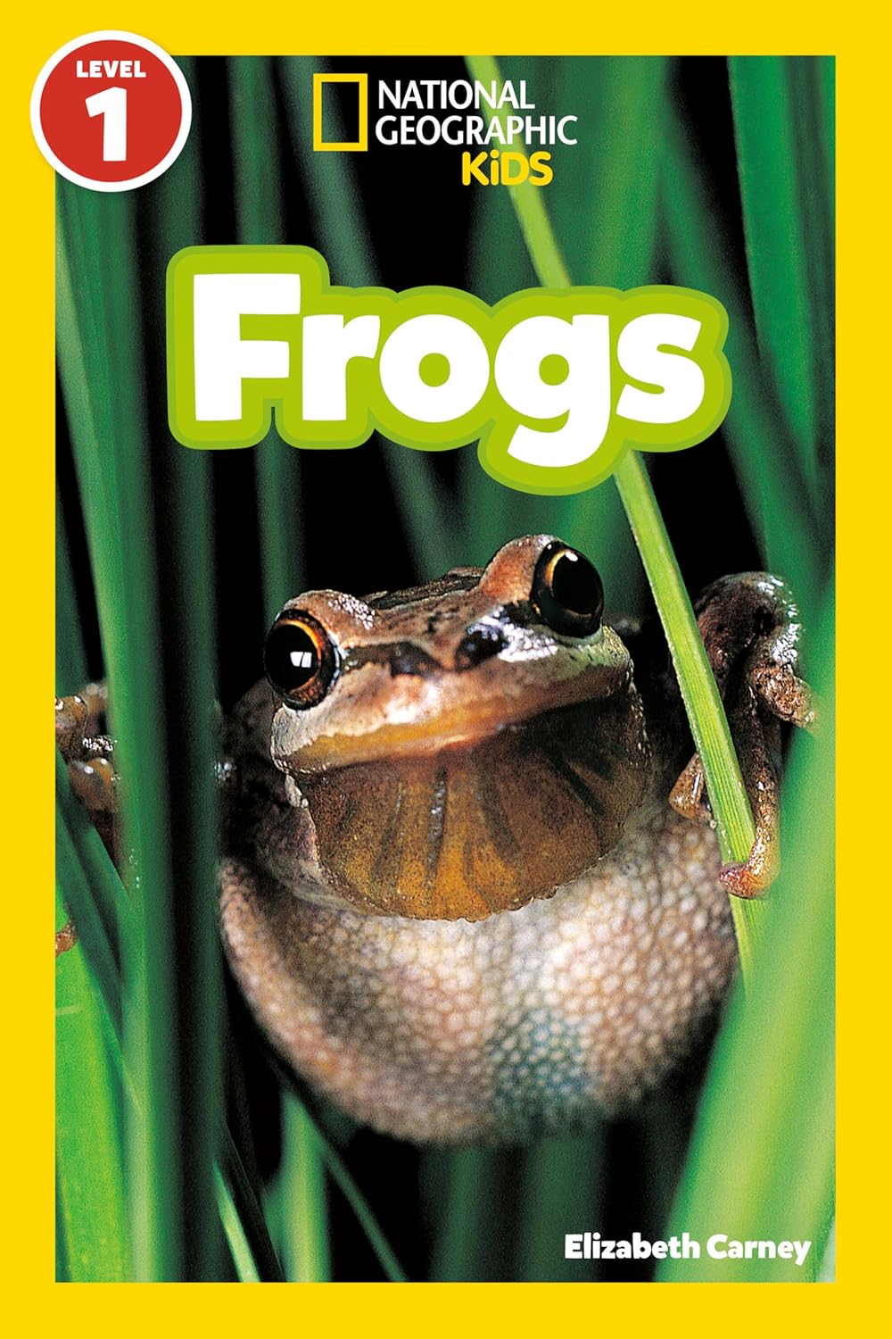 Frogs