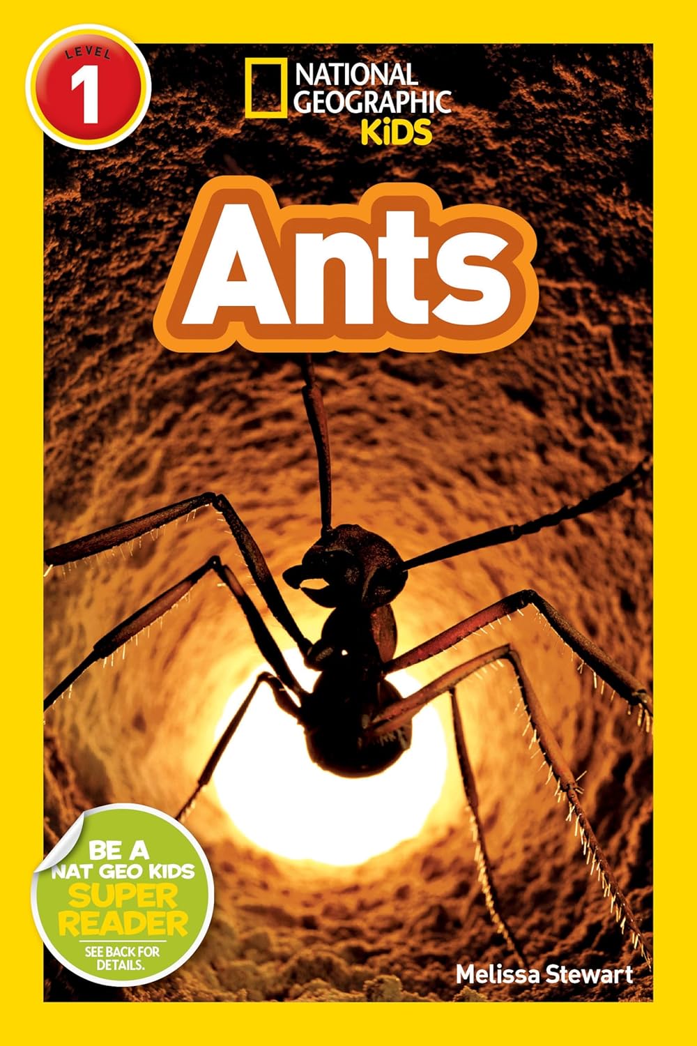 Ants