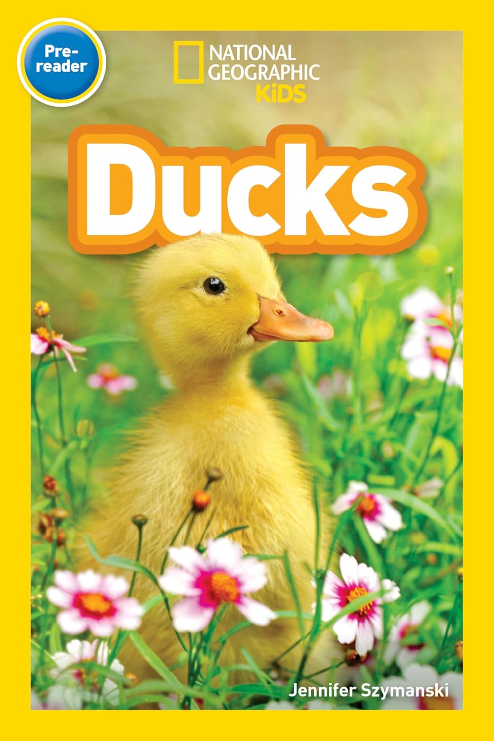 Ducks