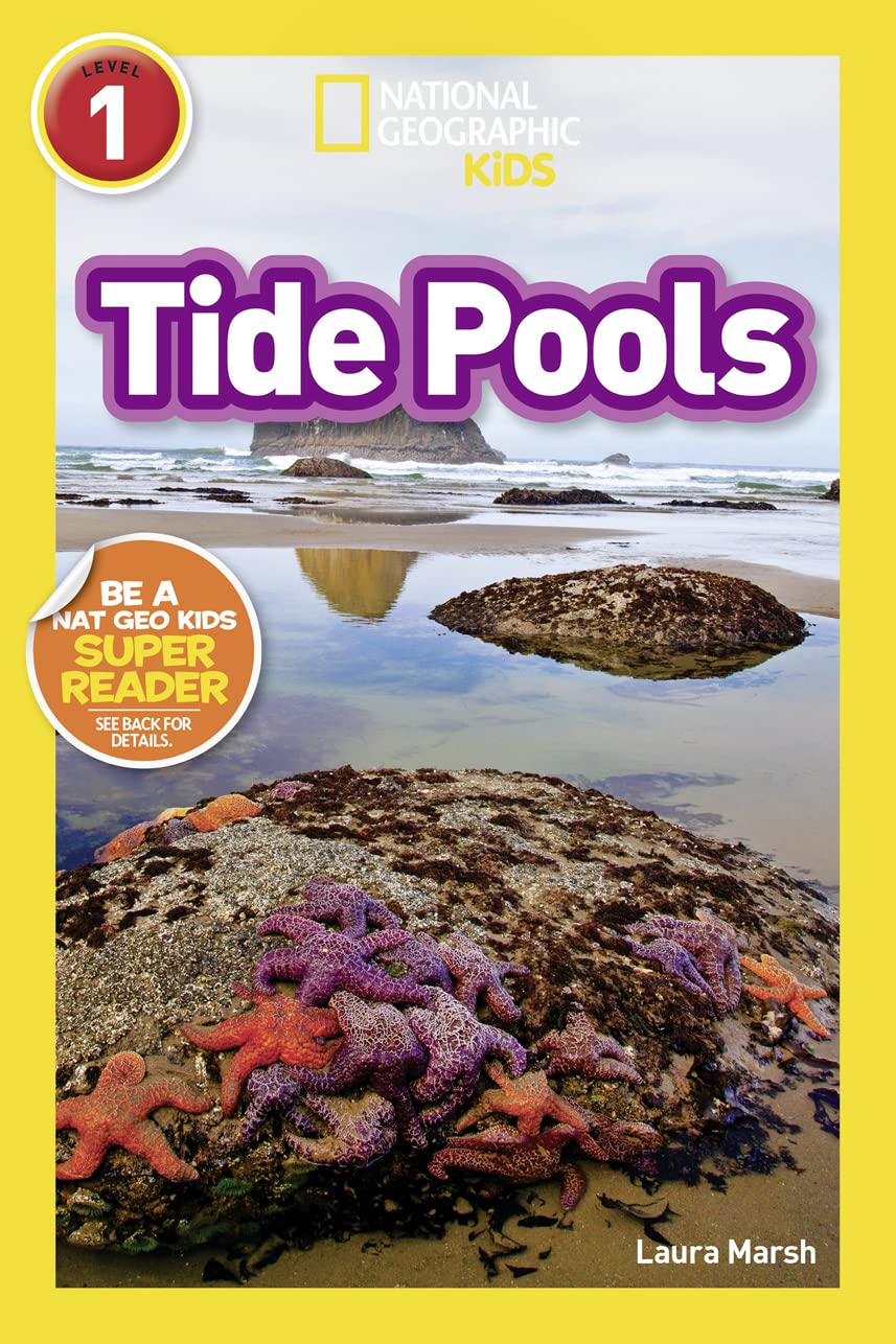 Tide Pools