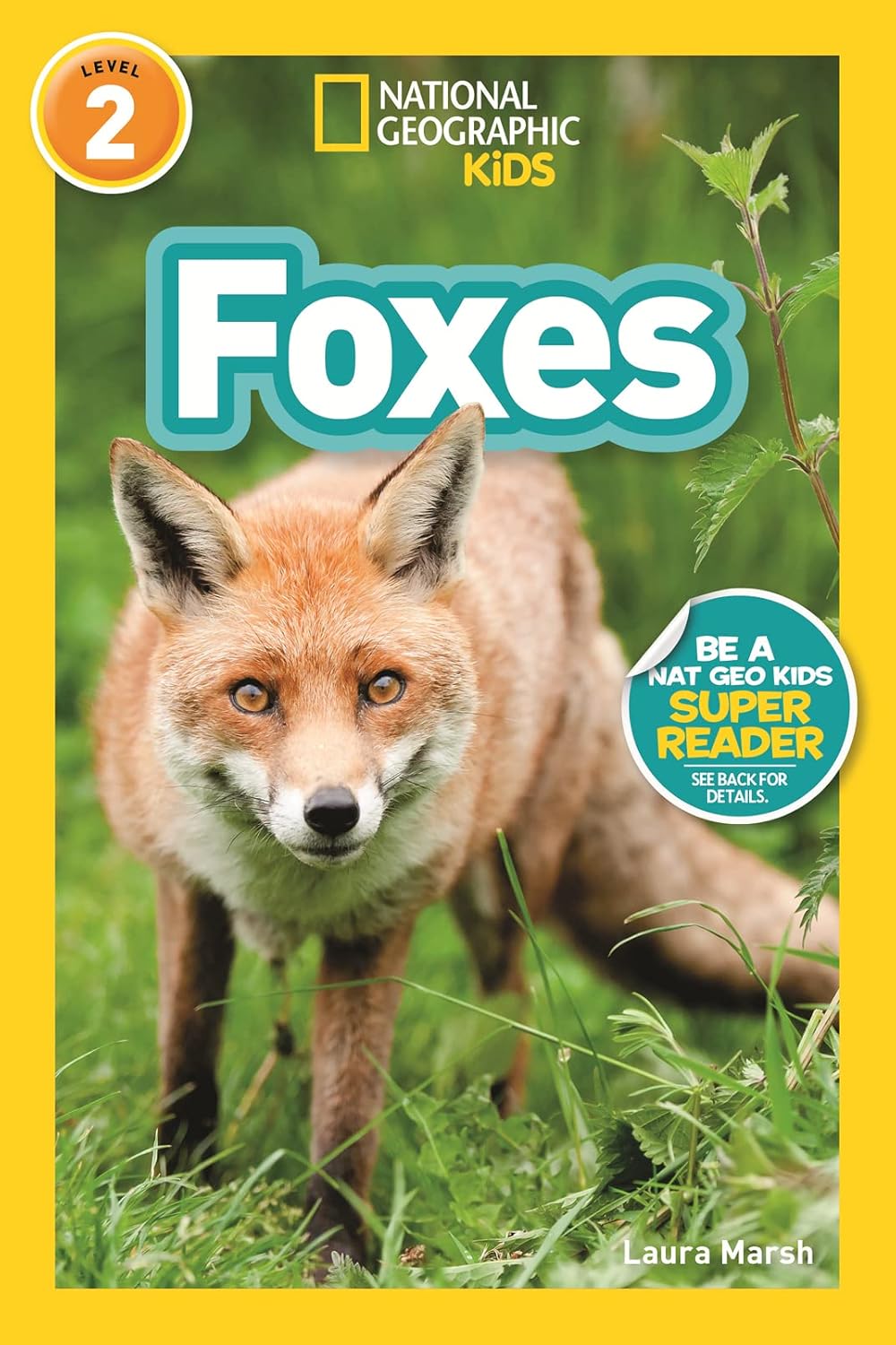 Foxes