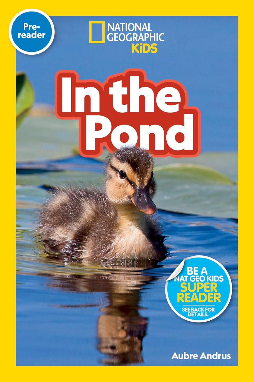 In the Pond