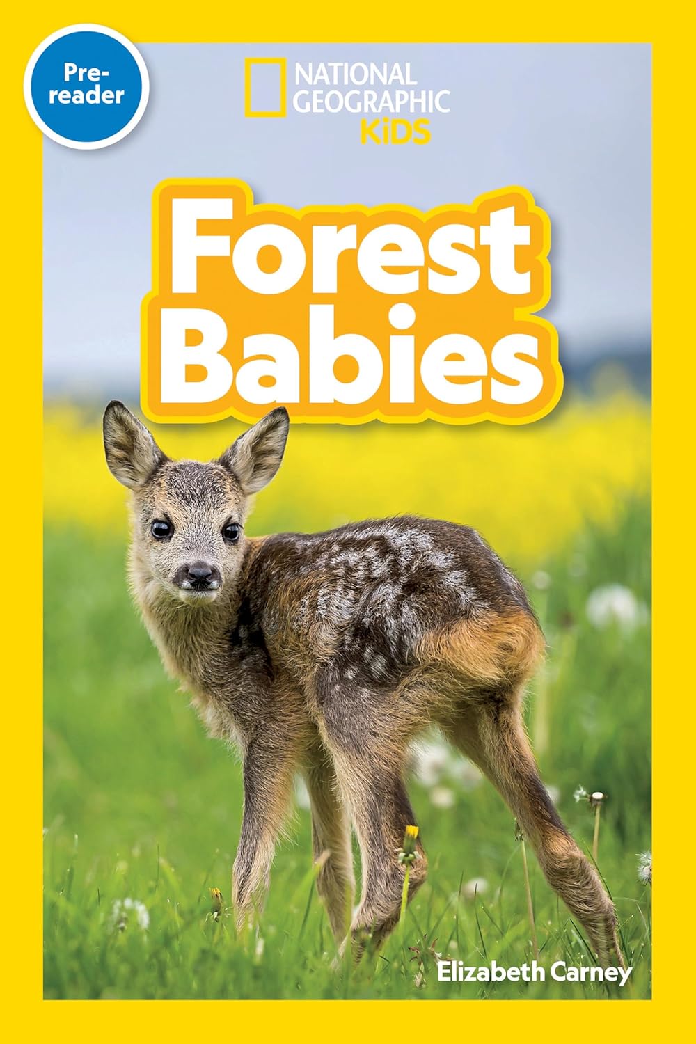 Forest Babies