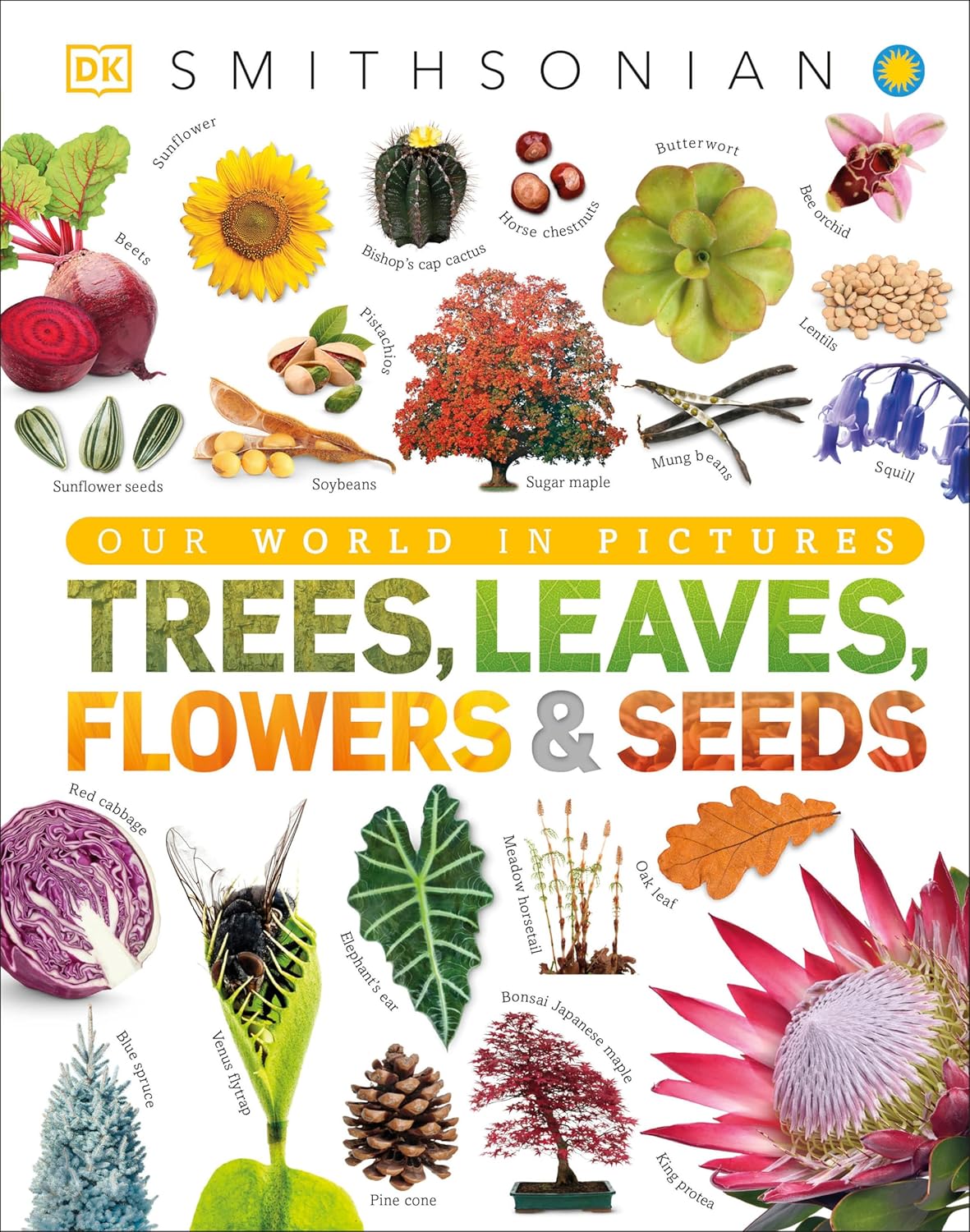 Trees, Leaves, Flowers & Seeds