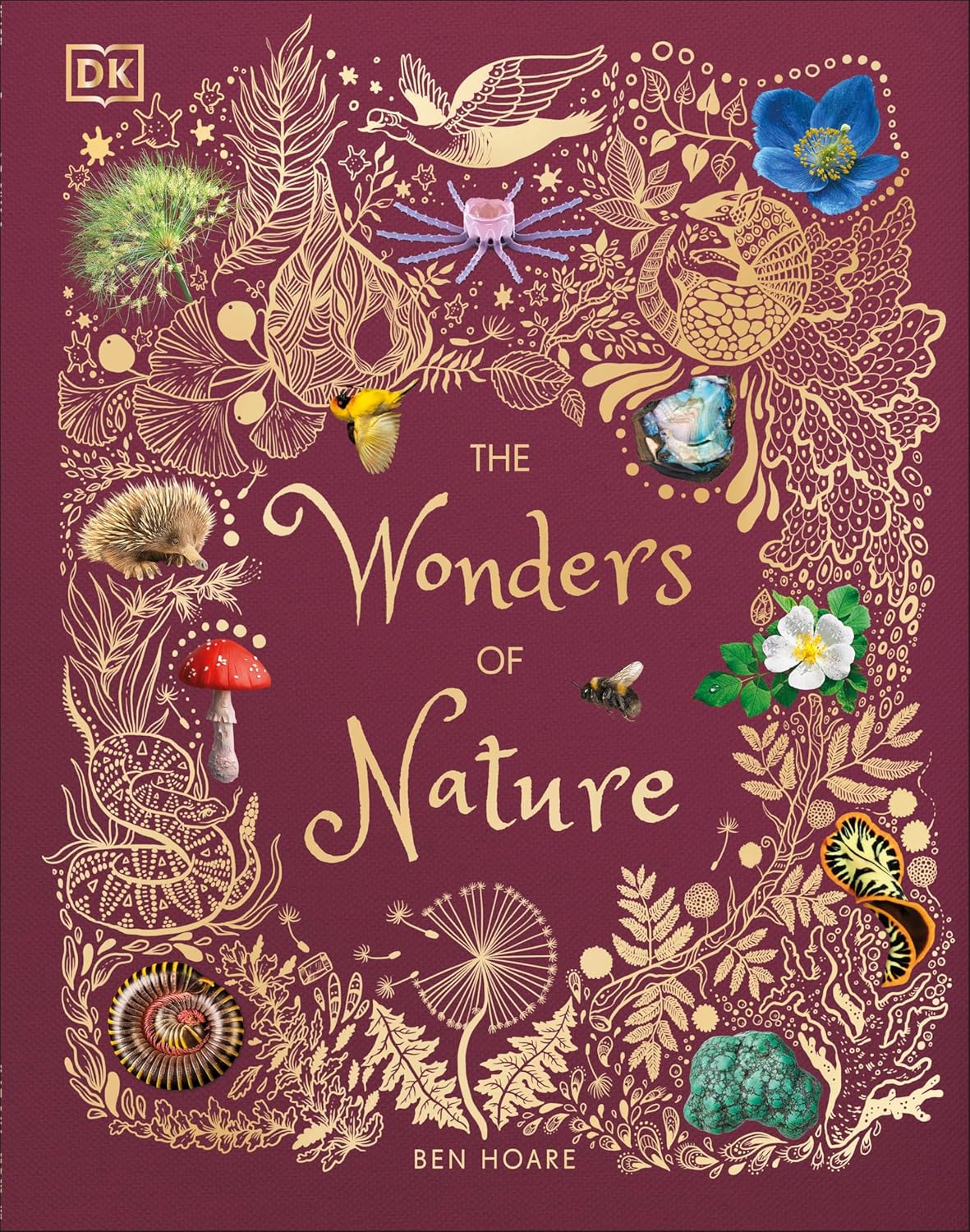 The Wonders of Nature