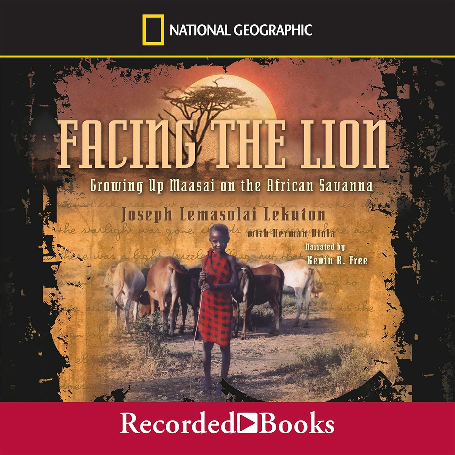 Facing the Lion
