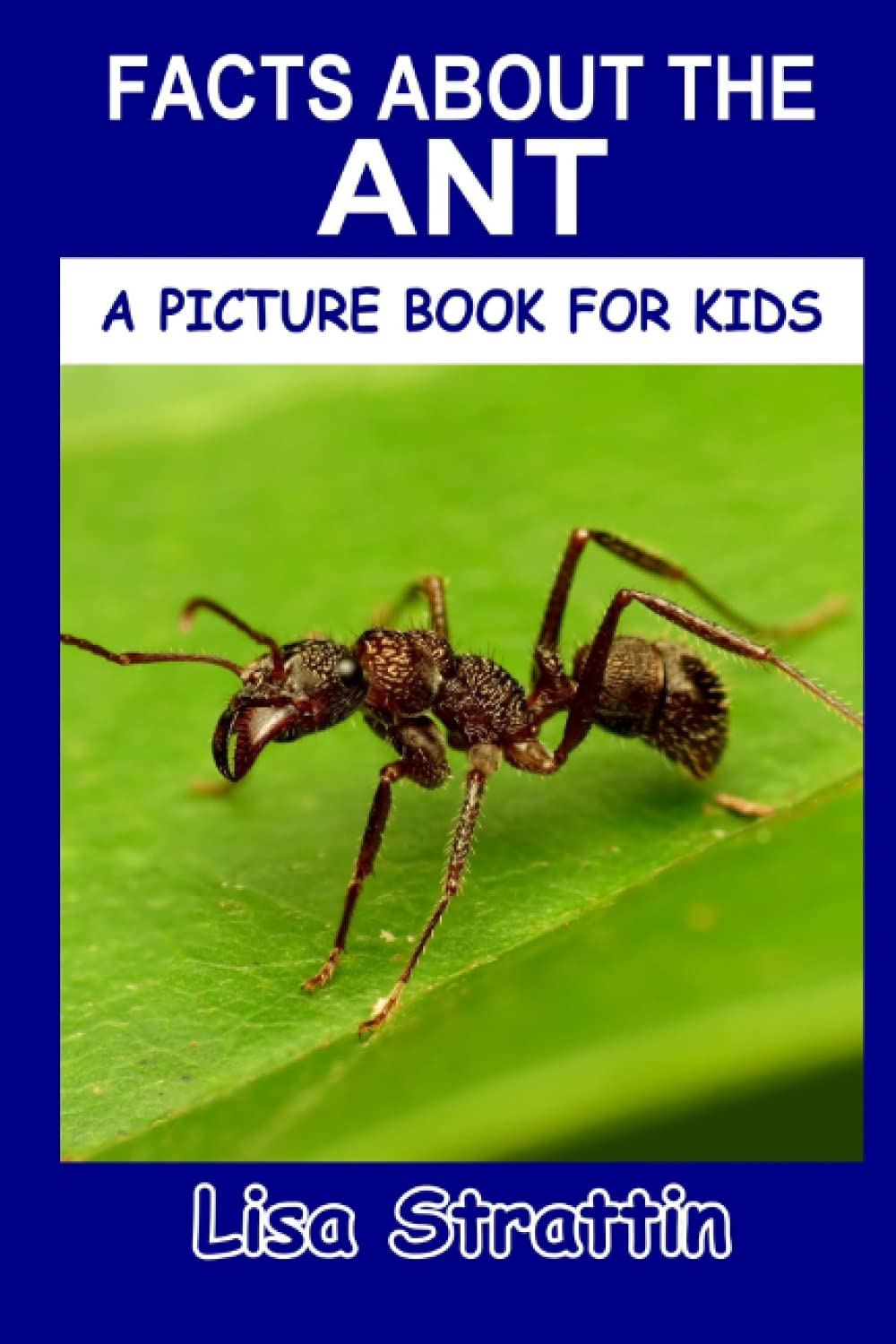 Facts About the Ant