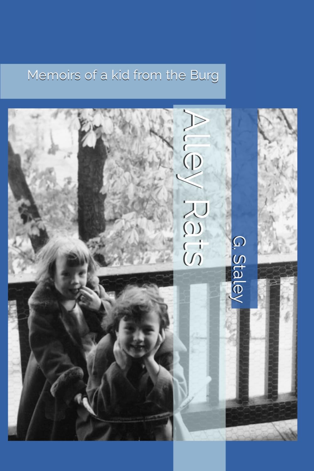 Alley Rats: Memoirs of a kid from the Burg