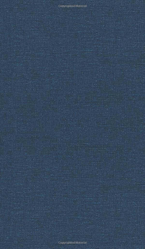 The Lost Space Treasure - A Novella