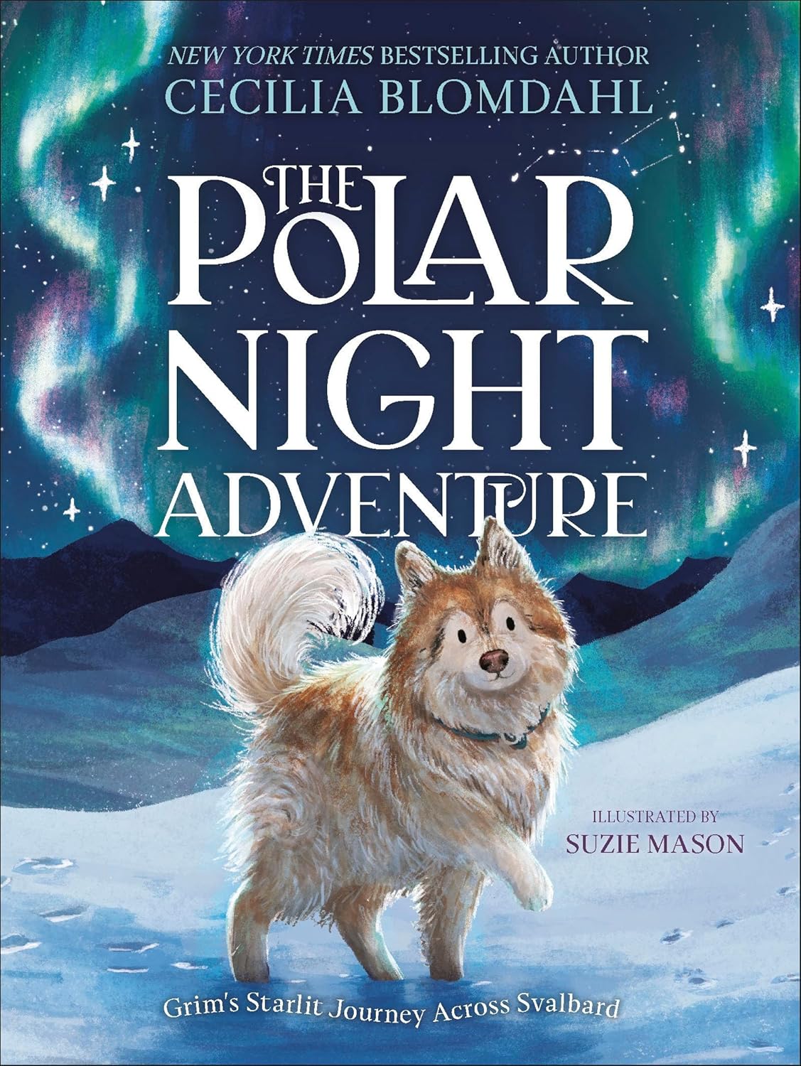 The Polar Night Adventure