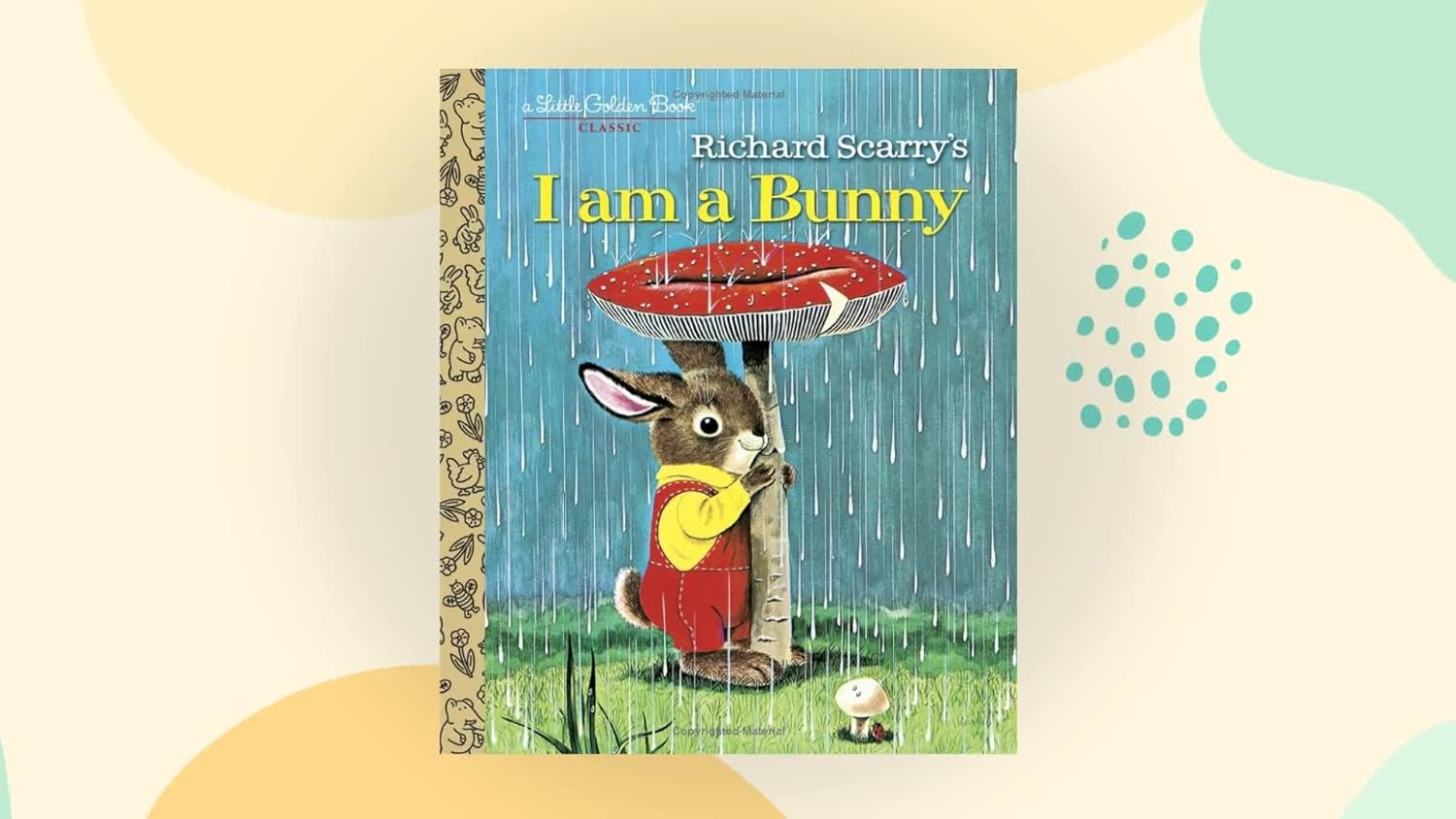 i am a bunny